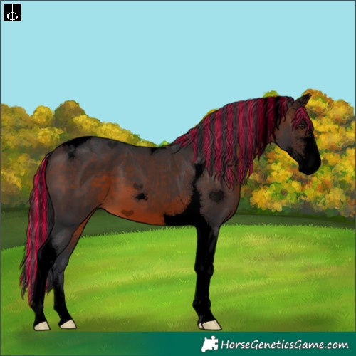 Horse Color:Void Painted Brown Sabino Tobiano