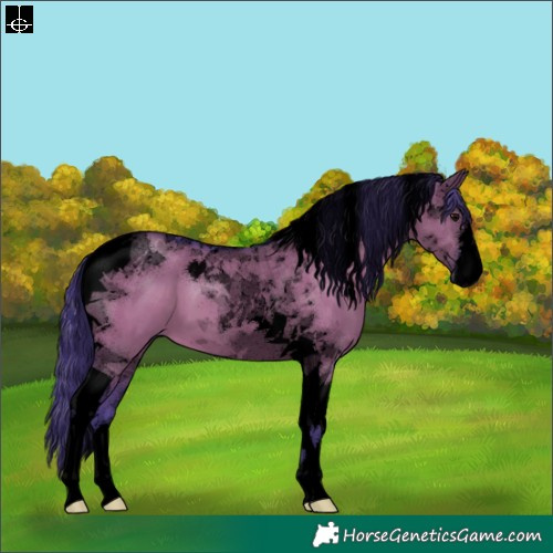 Horse Color:Void Watercolor Grullo Tobiano