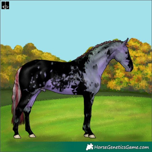 Horse Color:Void Painted Watercolor Silver Bay Tobiano Blanket 