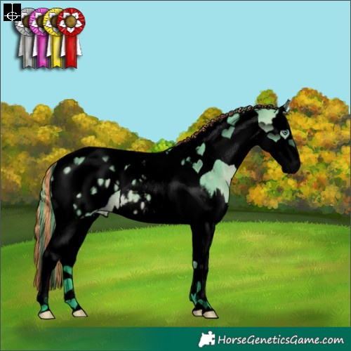 Horse Color:Void Painted Watercolor Bay Chinchilla Dun Splash Tobiano Blanket