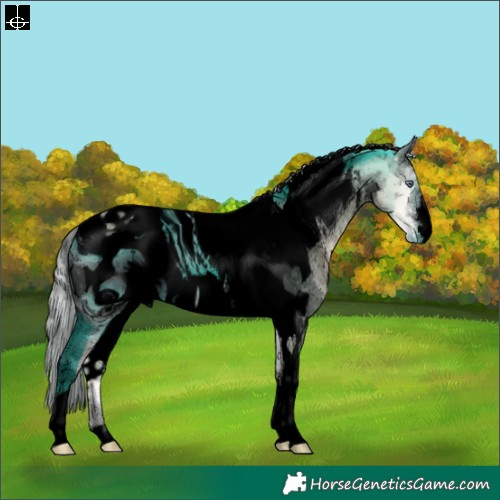 Horse Color:ERROR: UNKNOWN ANOMALY