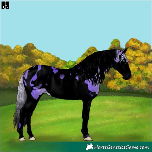 Horse Color:ERROR: UNKNOWN ANOMALY