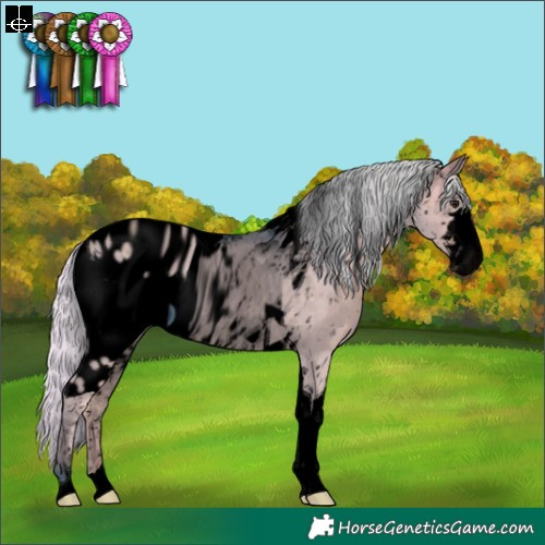 Horse Color:ERROR: UNKNOWN ANOMALY