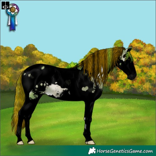 Horse Color:Void Painted Watercolor Brown Onyx Sabino Splash Tobiano Appaloosa 