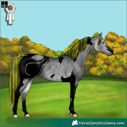 Horse Color:ERROR: UNKNOWN ANOMALY