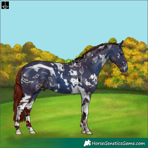 Horse Color:ERROR: UNKNOWN ANOMALY