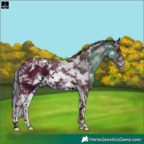 Horse Color:ERROR: UNKNOWN ANOMALY