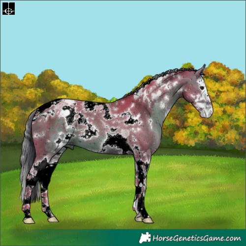 Horse Color:ERROR: UNKNOWN ANOMALY