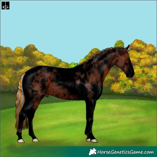 Horse Color:Void Painted Silver Brown Sabino Tobiano 