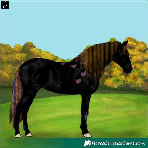 Horse Color:Void Painted Watercolor White Spotted Brown Dun Splash Tobiano 