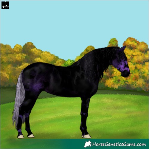 Horse Color:Void Watercolor Silver Brown Sabino Tobiano 