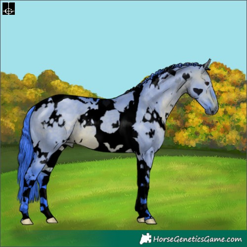 Horse Color:Void Watercolor White Spotted Brown Dun Tobiano