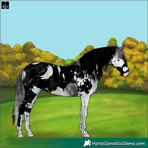 Horse Color:ERROR: UNKNOWN ANOMALY