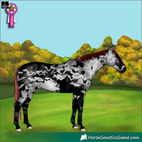 Horse Color:Void Painted White Spotted Silver Brown Chinchilla Dun Splash Tobiano 
