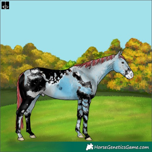 Horse Color:ERROR: UNKNOWN ANOMALY