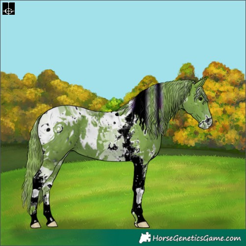 Horse Color:ERROR: UNKNOWN ANOMALY