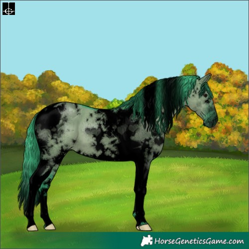 Horse Color:Void Watercolor White Spotted Grullo Tobiano 