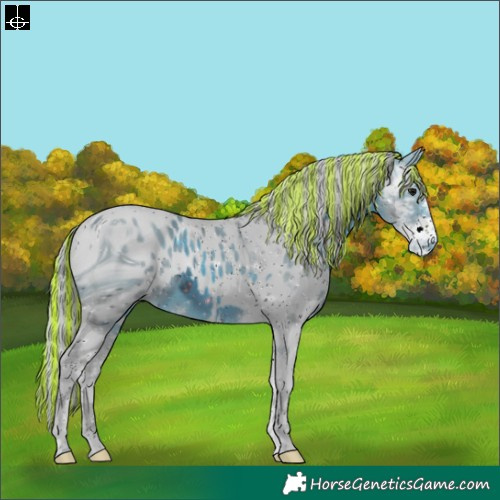 Horse Color:ERROR: UNKNOWN ANOMALY