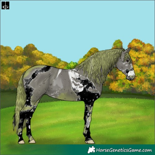 Horse Color:ERROR: UNKNOWN ANOMALY