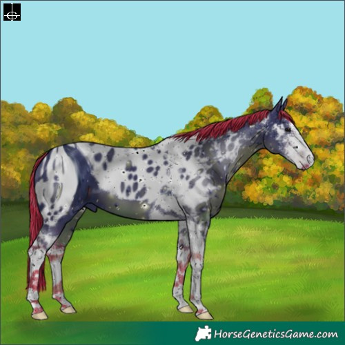 Horse Color:ERROR: UNKNOWN ANOMALY