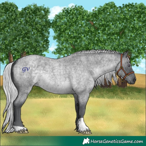 Horse Color:Silver Blue Chinchilla Roan
