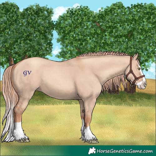 Horse Color:Gold Champagne Dun Splash