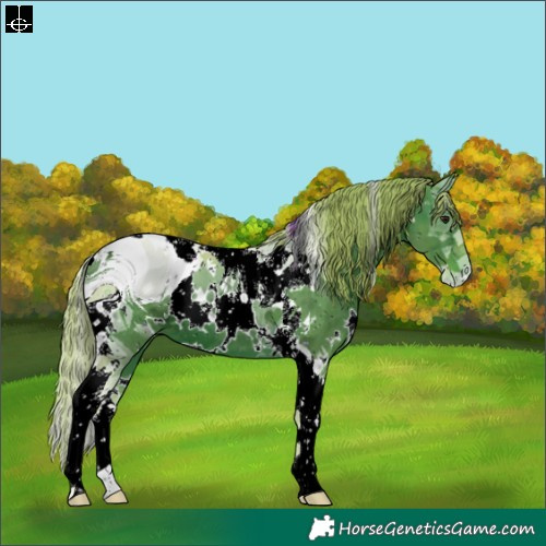 Horse Color:ERROR: UNKNOWN ANOMALY