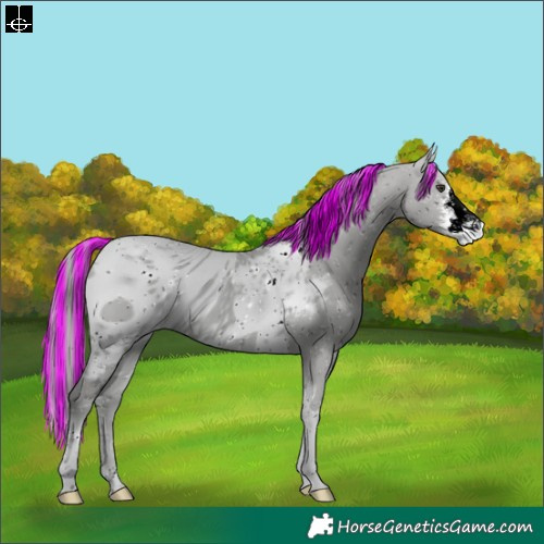 Horse Color:ERROR: UNKNOWN ANOMALY