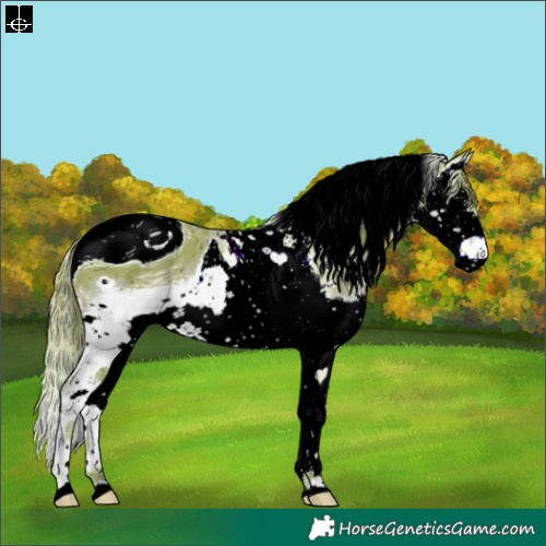 Horse Color:ERROR: UNKNOWN ANOMALY