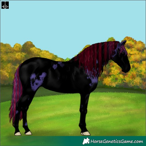 Horse Color:Void Painted Watercolor White Spotted Black Splash Tobiano