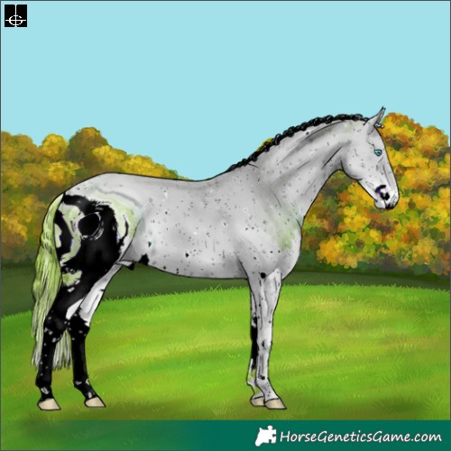 Horse Color:ERROR: UNKNOWN ANOMALY
