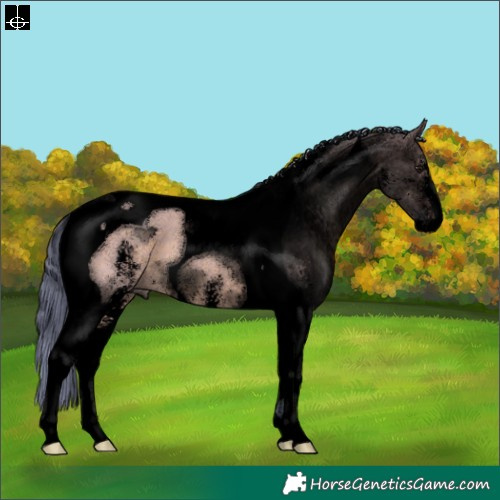 Horse Color:Void Watercolor Brown Dun Sabino Tobiano 