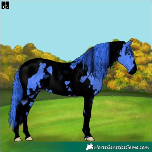 Horse Color:Void Watercolor White Spotted Black Chinchilla Tobiano