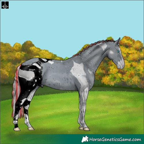 Horse Color:ERROR: UNKNOWN ANOMALY