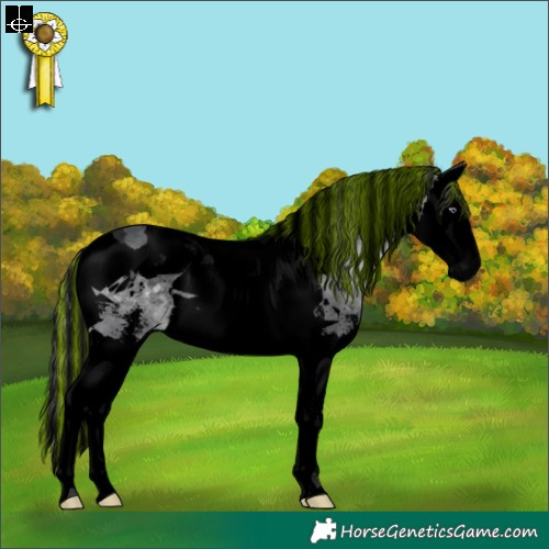 Horse Color:Void Painted Brown Chinchilla Sabino Splash Tobiano