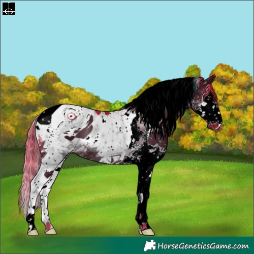 Horse Color:ERROR: UNKNOWN ANOMALY