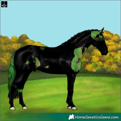 Horse Color:Void Watercolor Brown Sabino Splash Tobiano