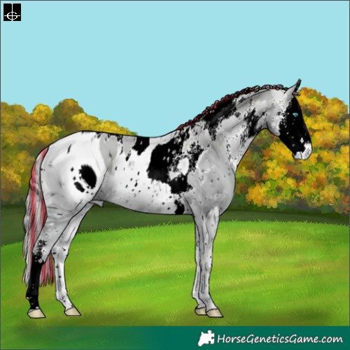 Horse Color:ERROR: UNKNOWN ANOMALY