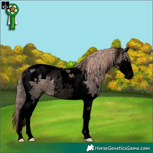 Horse Color:Void Painted Silver Black Sabino Splash Tobiano 