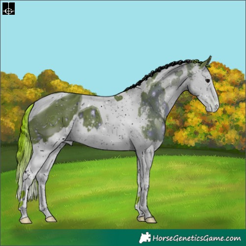 Horse Color:ERROR: UNKNOWN ANOMALY