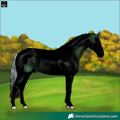 Horse Color:Void Watercolor Silver Black Sabino Splash Tobiano