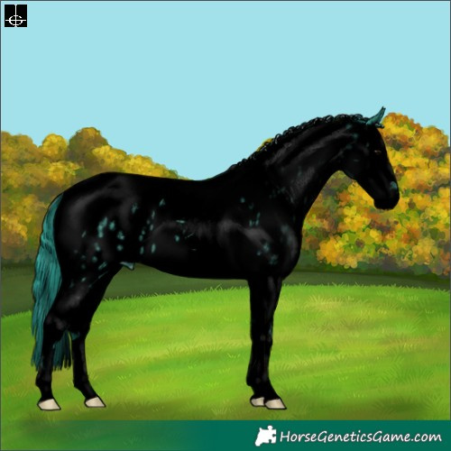 Horse Color:Void Watercolor Black Sabino Splash Tobiano Appaloosa 