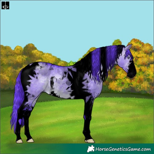 Horse Color:Void Watercolor Brown Chinchilla Dun Sabino Tobiano