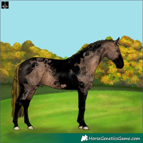 Horse Color:Void Painted Brown Dun Sabino Tobiano