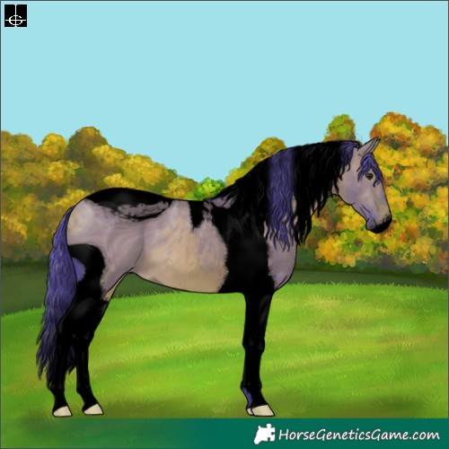 Horse Color:ERROR: UNKNOWN ANOMALY