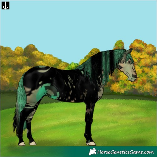 Horse Color:ERROR: UNKNOWN ANOMALY