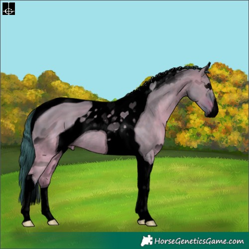 Horse Color:ERROR: UNKNOWN ANOMALY