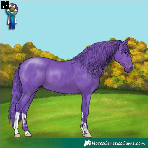 Horse Color:Watercolor Black