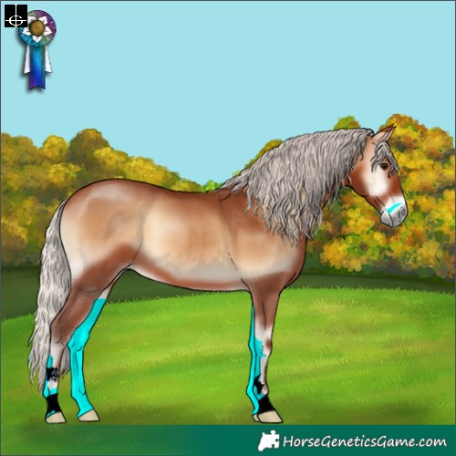 Horse Color:Silver Bay Onyx