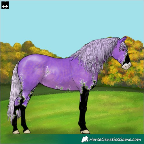 Horse Color:Watercolor Silver Black Sabino